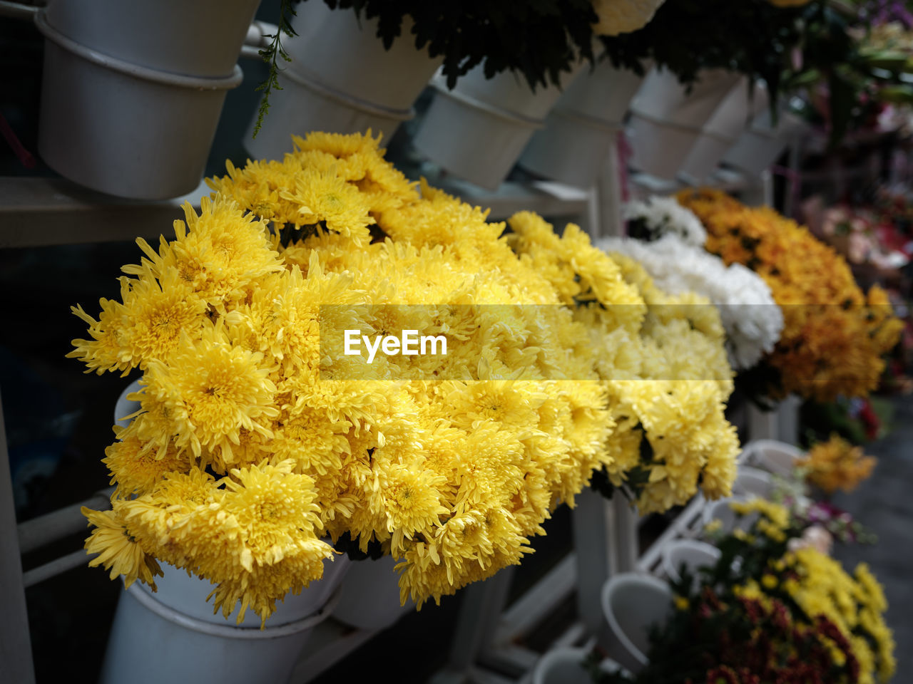 yellow, flower, plant, flowering plant, floristry, freshness, nature, no people, floral design, close-up, chrysanths, beauty in nature, retail, outdoors