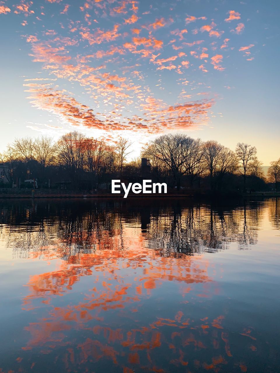 REFLECTION OF TREES IN LAKE DURING SUNSET