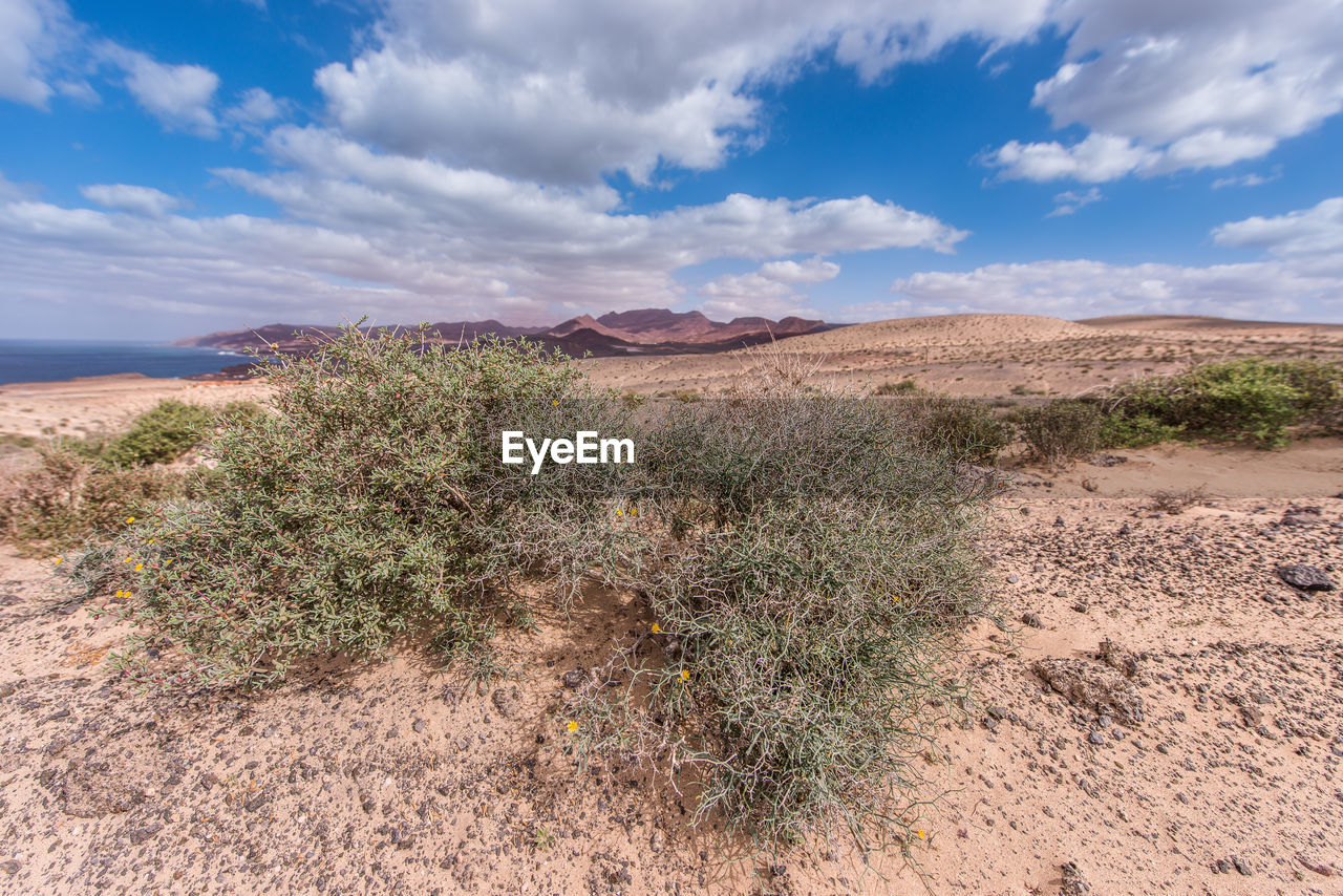 View of desert land against sky