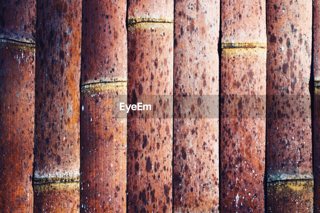 Full frame shot of bamboo wall