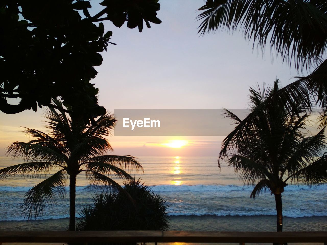 SILHOUETTE PALM TREES BY SWIMMING POOL AGAINST SKY AT SUNSET