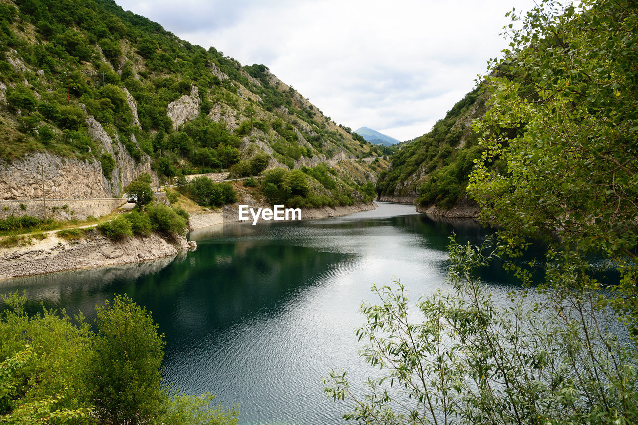 Scenic view of river amidst trees in forest against sky