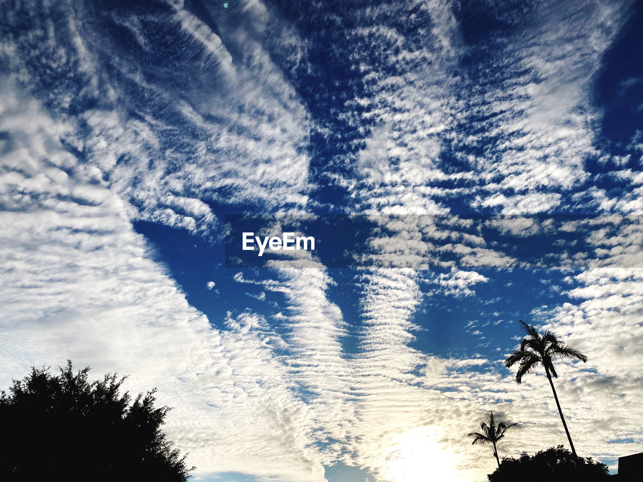 sky, cloud, tree, nature, low angle view, sunlight, silhouette, plant, beauty in nature, no people, horizon, outdoors, scenics - nature, day, tranquility, reflection, tranquil scene