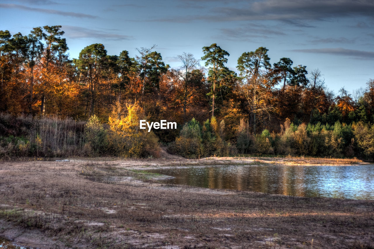 Scenic view of lake in forest against sky