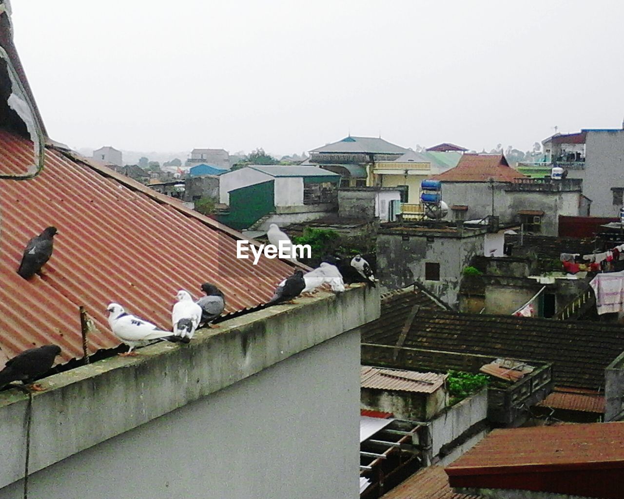 VIEW OF RESIDENTIAL DISTRICT