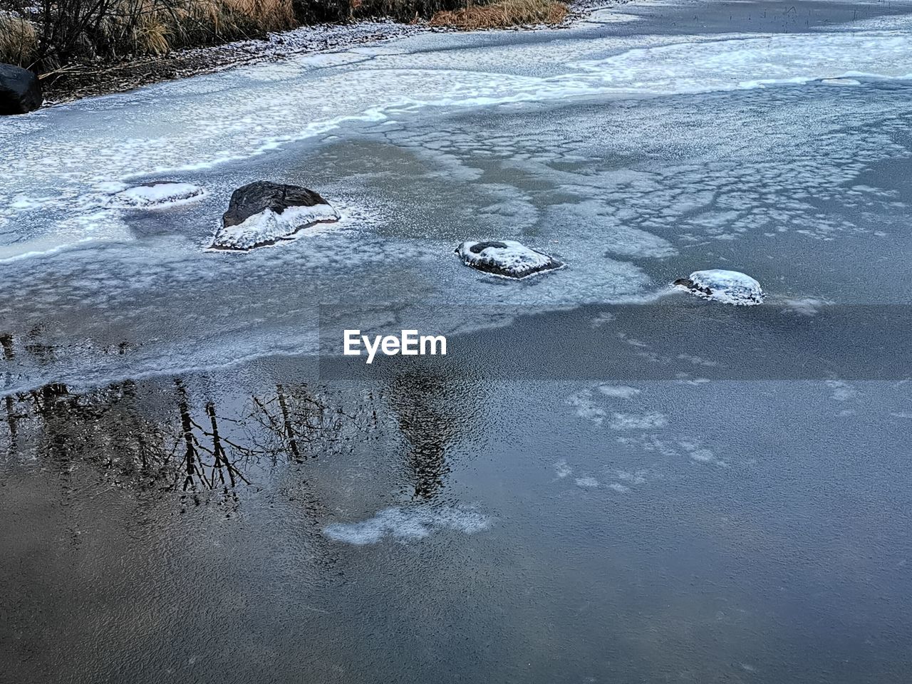 HIGH ANGLE VIEW OF CROCODILE ON FROZEN SEA