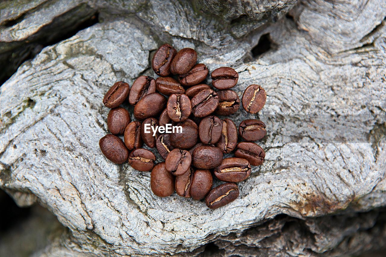 CLOSE-UP OF COFFEE BEANS