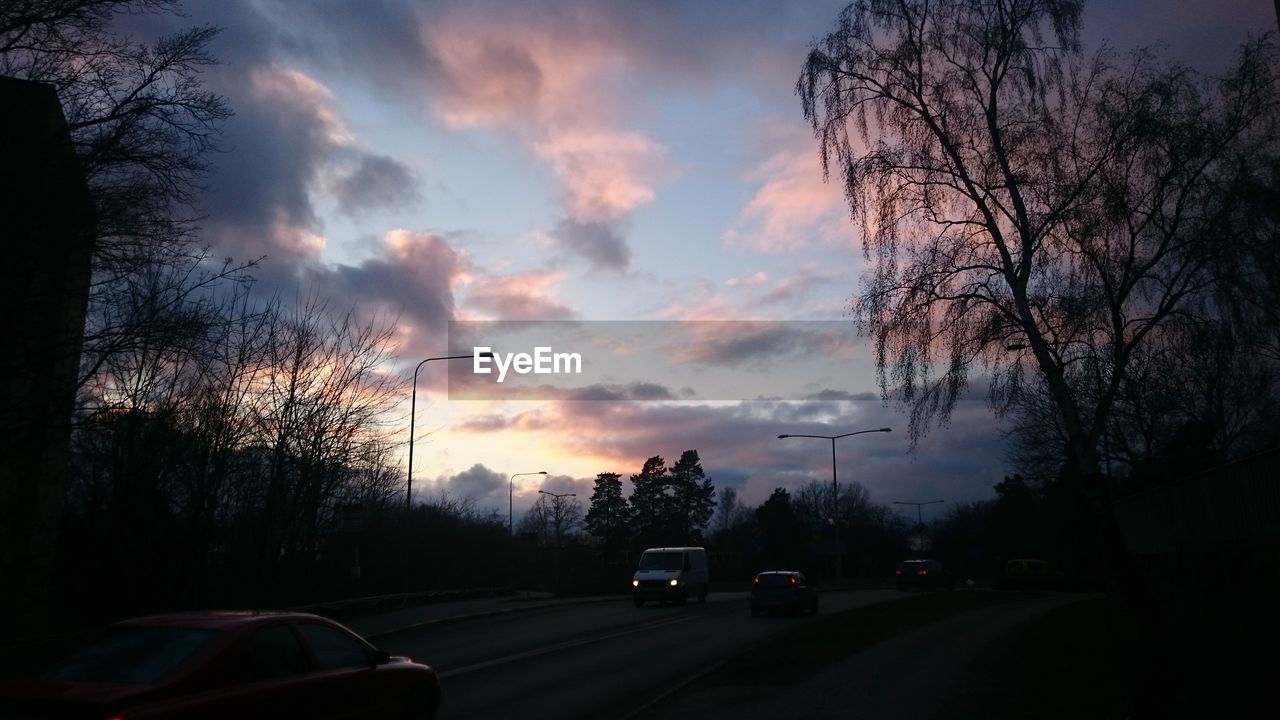 ROAD PASSING THROUGH TREES