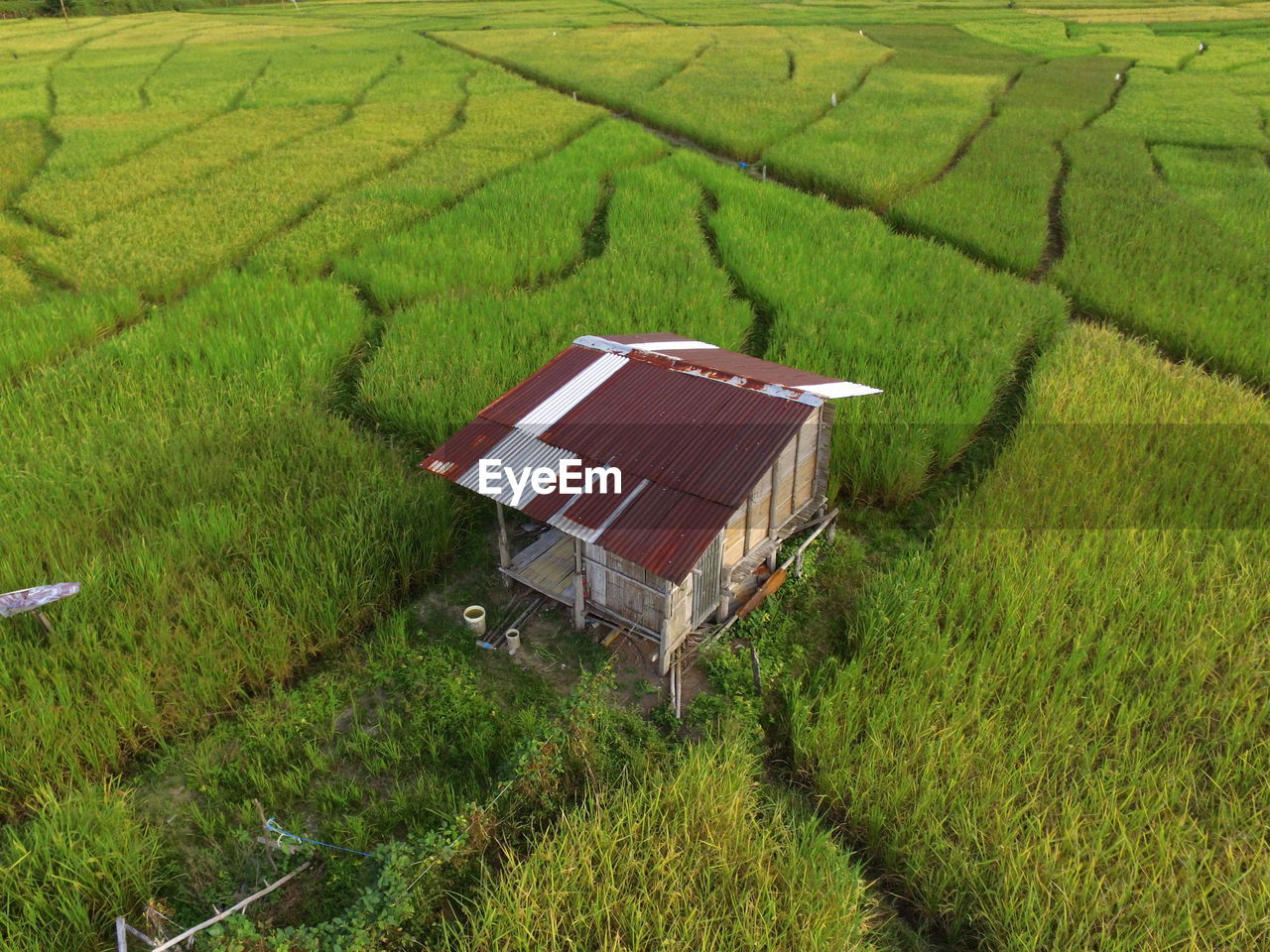 High angle view of agricultural field