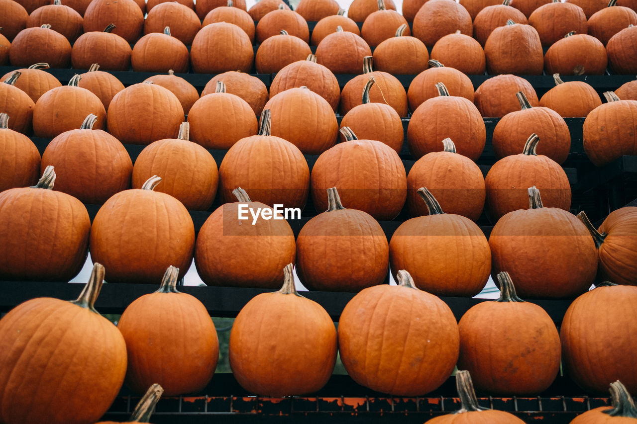 FULL FRAME SHOT OF PUMPKINS FOR SALE IN MARKET