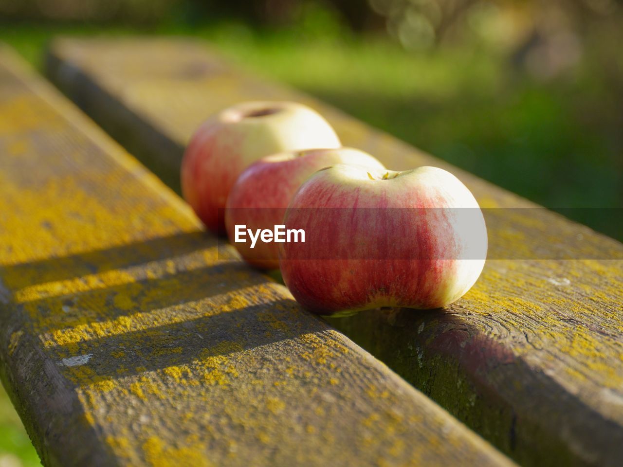 Close-up of apples on bench