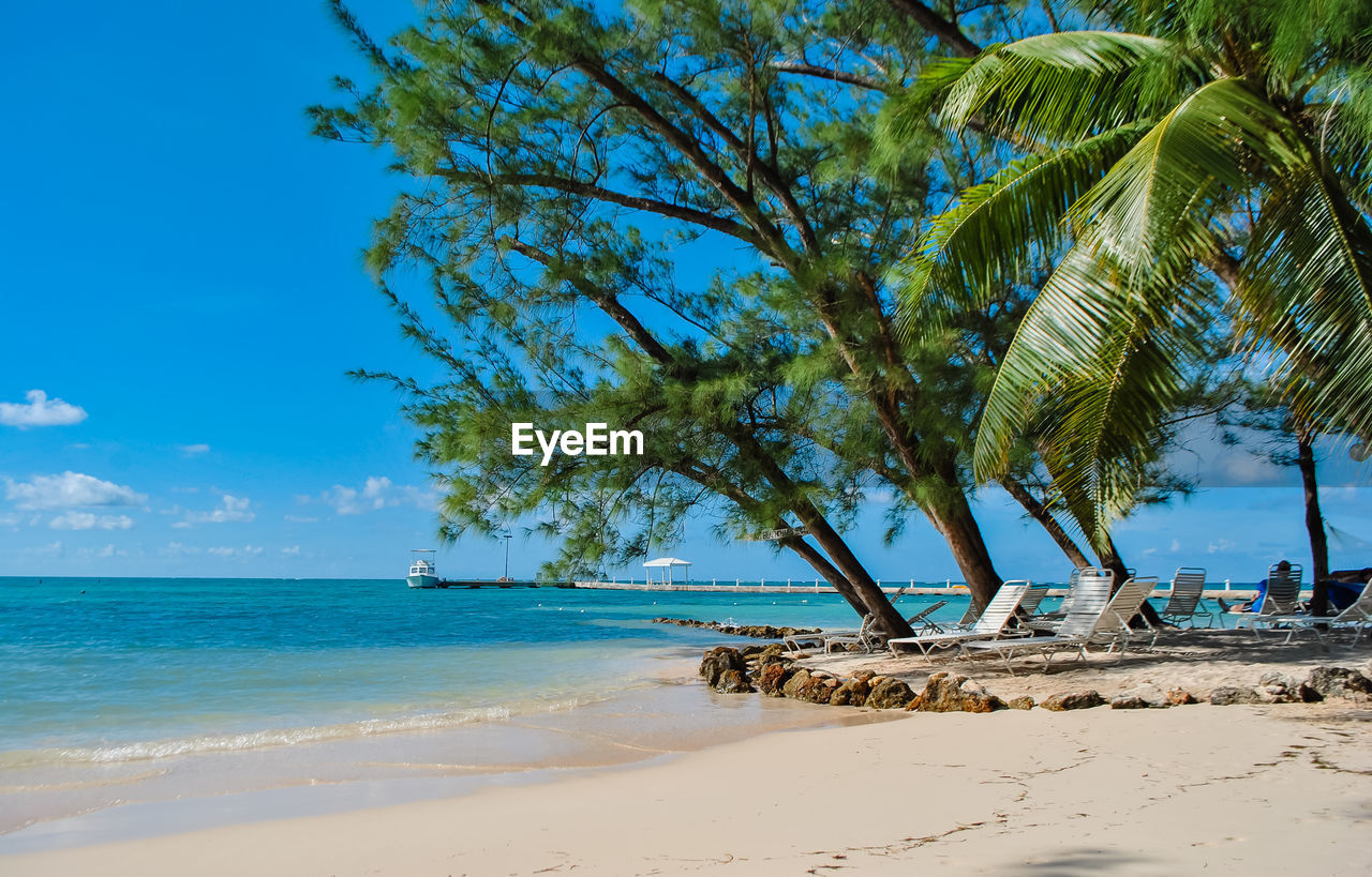 View of rum point beach against a blue sky 