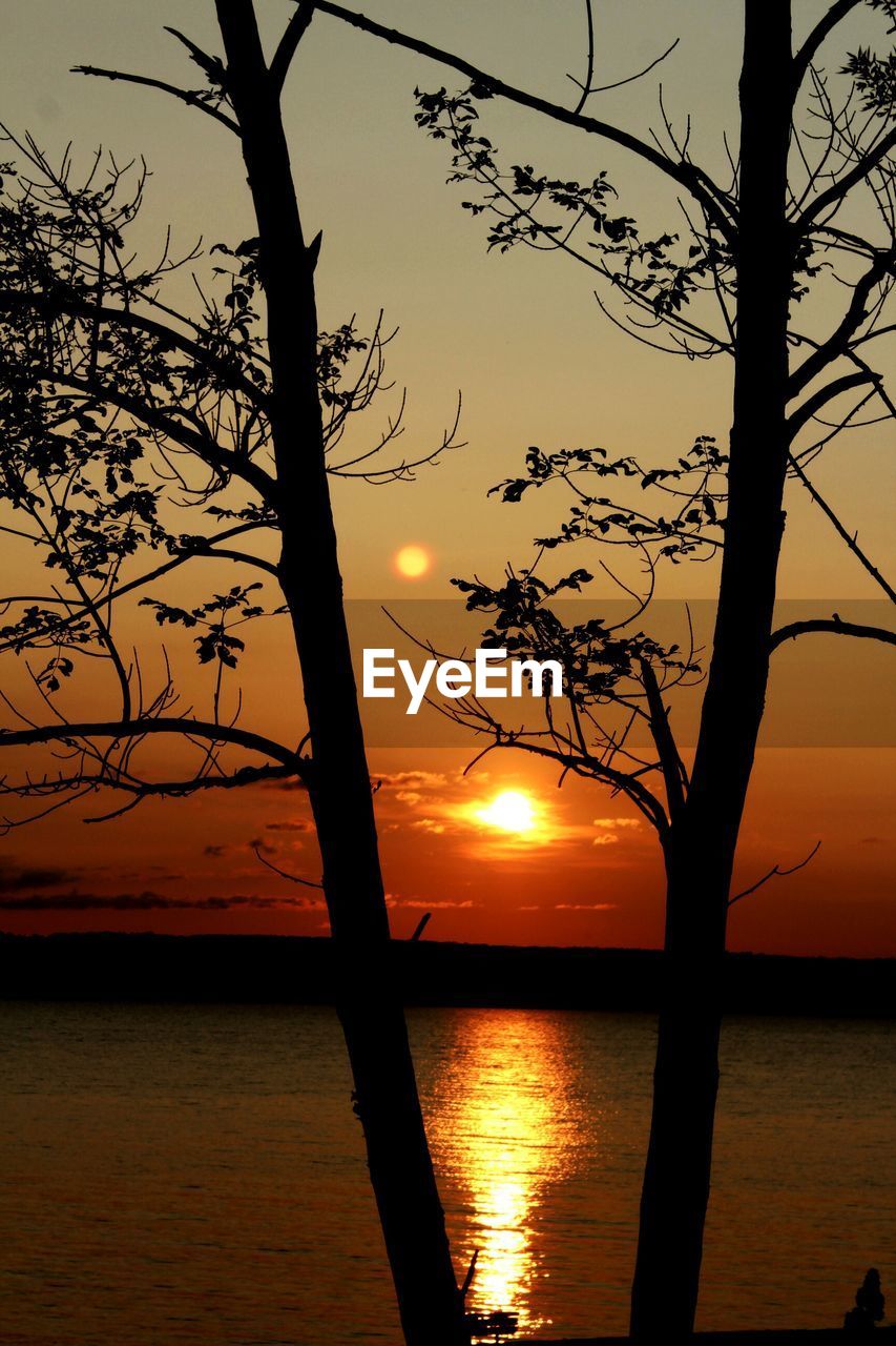 SILHOUETTE TREES AGAINST SEA DURING SUNSET