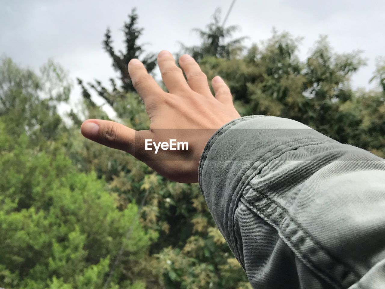 CLOSE-UP OF HANDS AGAINST TREES