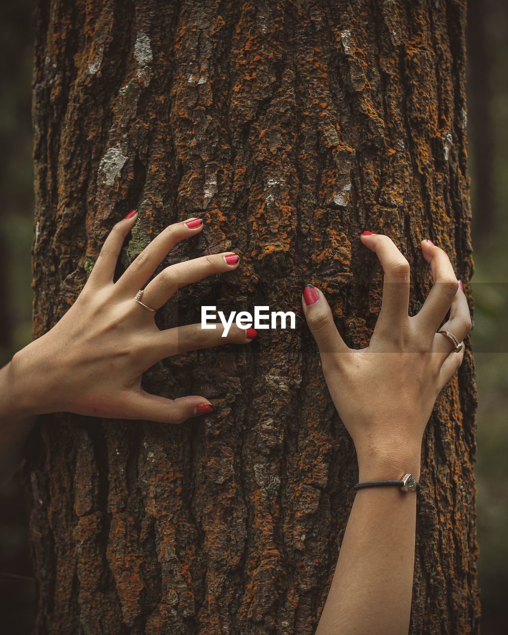 Midsection of woman touching tree trunk against plants