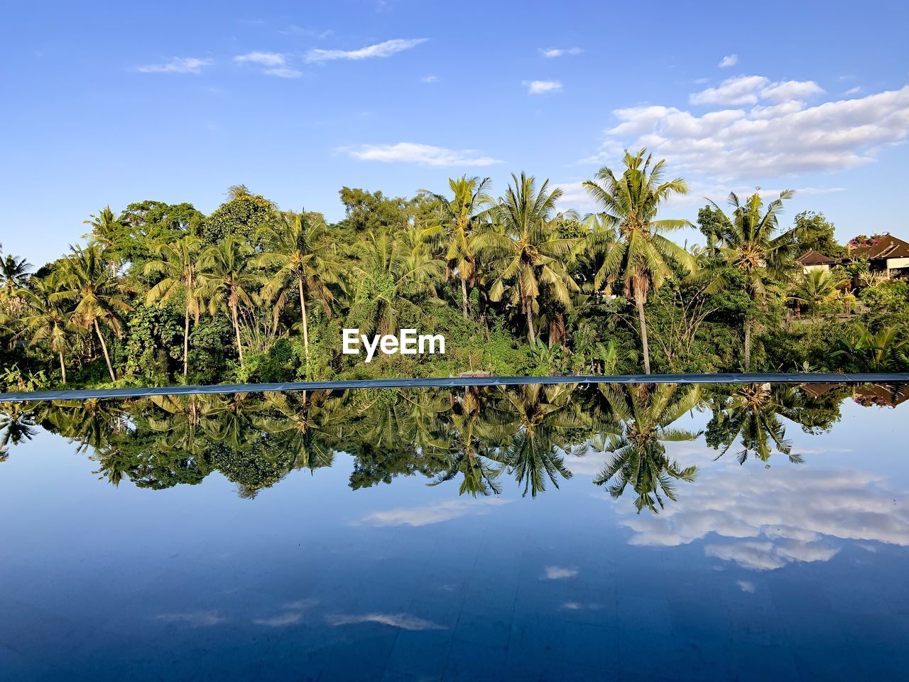 Reflection of palm trees in lake against sky