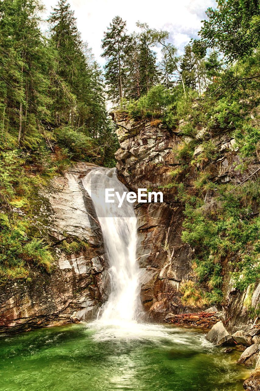 VIEW OF WATERFALL AT FOREST