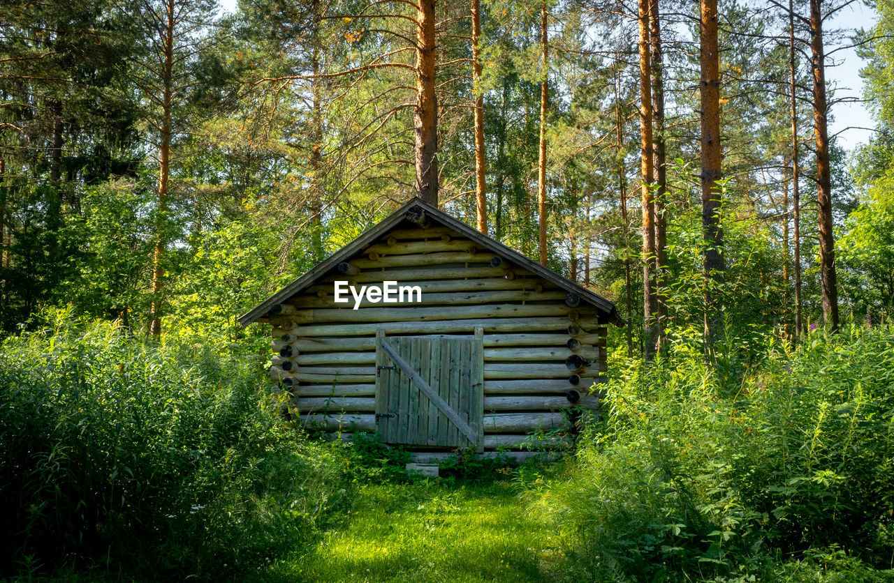 VIEW OF WOODEN STRUCTURE