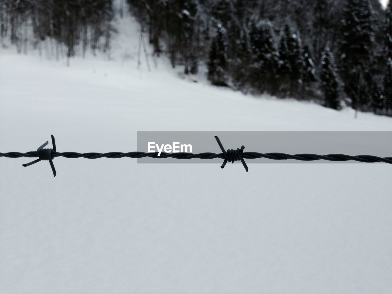 VIEW OF BARBED WIRE