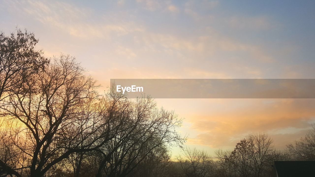 Low angle view of silhouette bare trees against sky during sunset