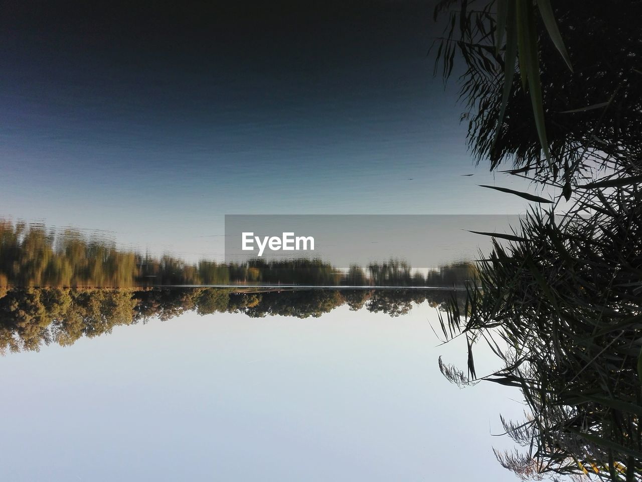 REFLECTION OF TREES IN LAKE AGAINST CLEAR SKY