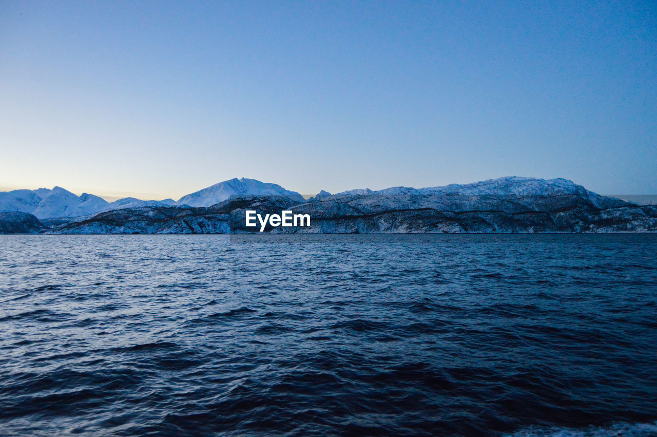 Tromso, whale watching