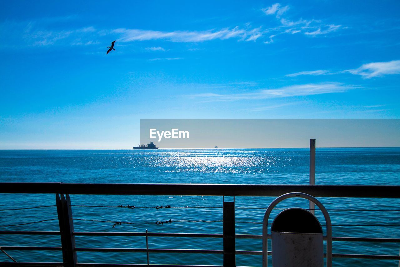 SEAGULL FLYING OVER SEA