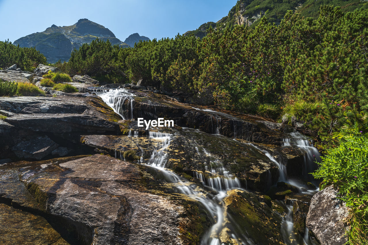 WATERFALL IN FOREST