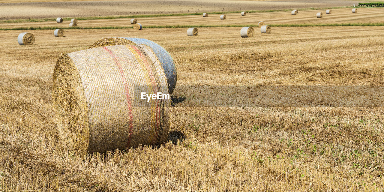 Hay bales on field