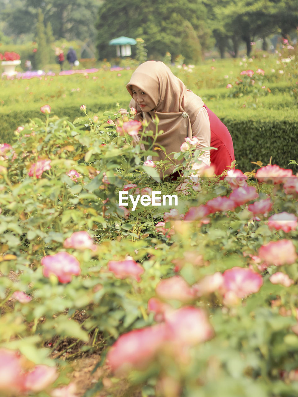 Rear view of woman with pink flowering plants