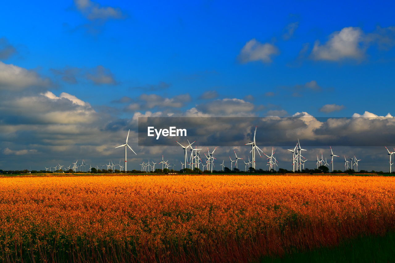 Scenic view of field against sky with a lot of windmills in line on the horizon