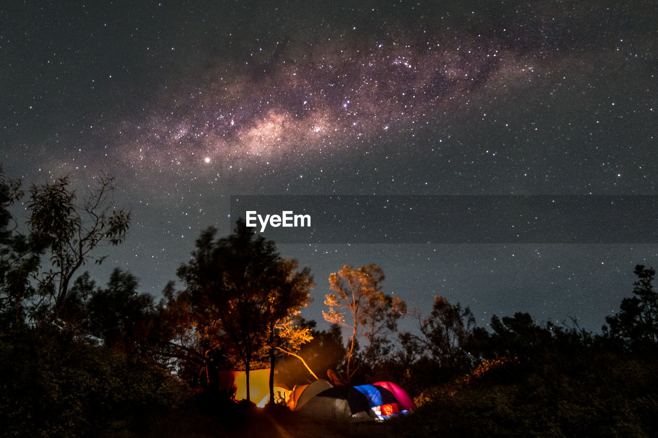 Illuminated tents in forest against star field at night