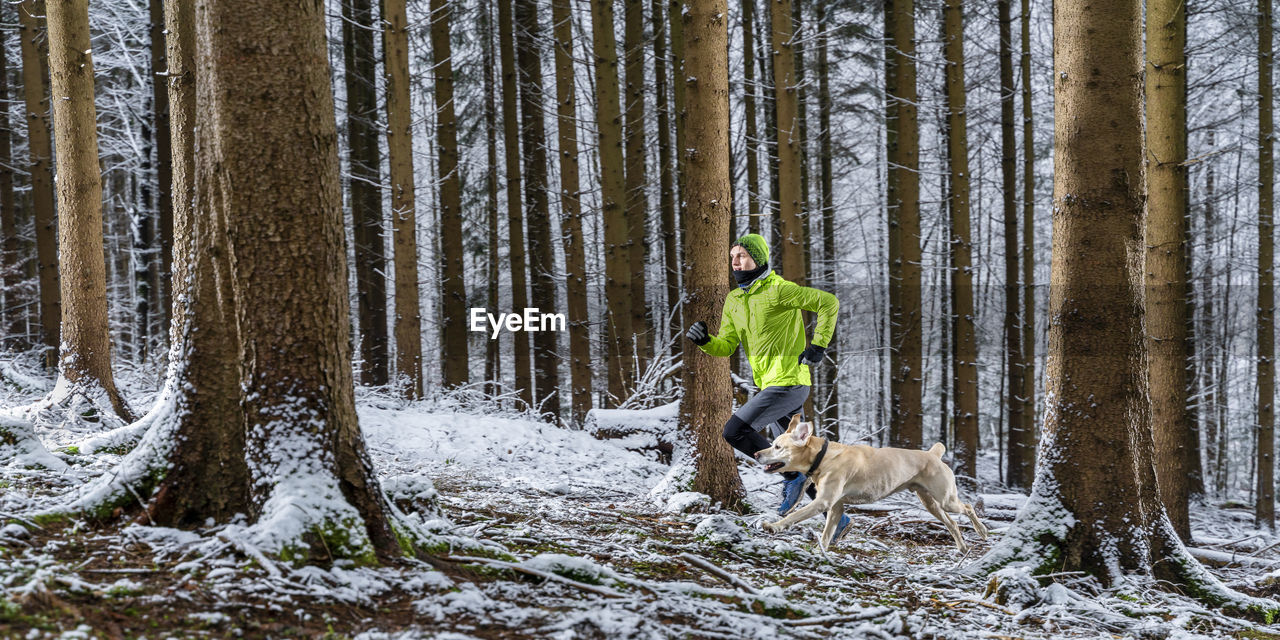 Young male sportsperson running with labrador during winter in forest