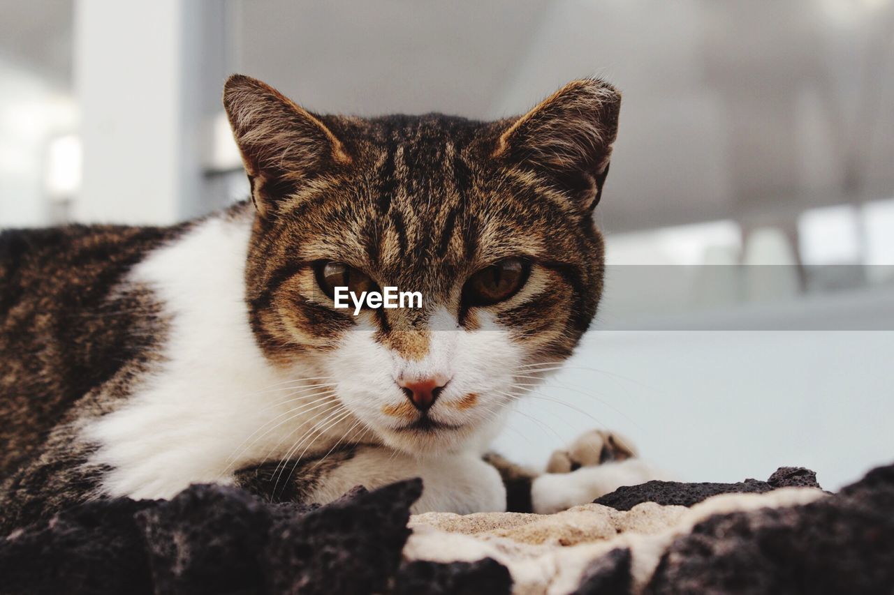 Intense stare