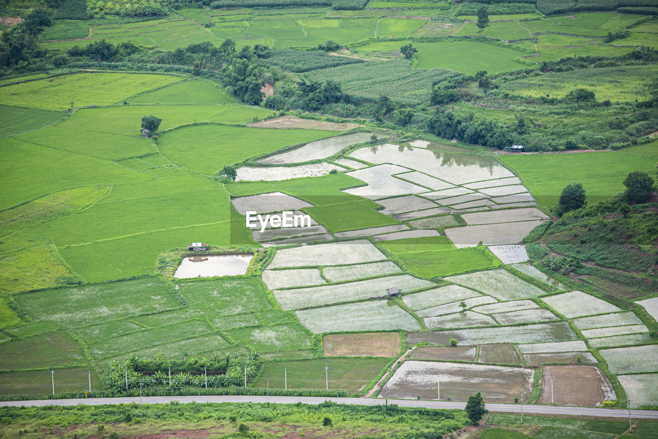 HIGH ANGLE VIEW OF AGRICULTURAL FIELDS