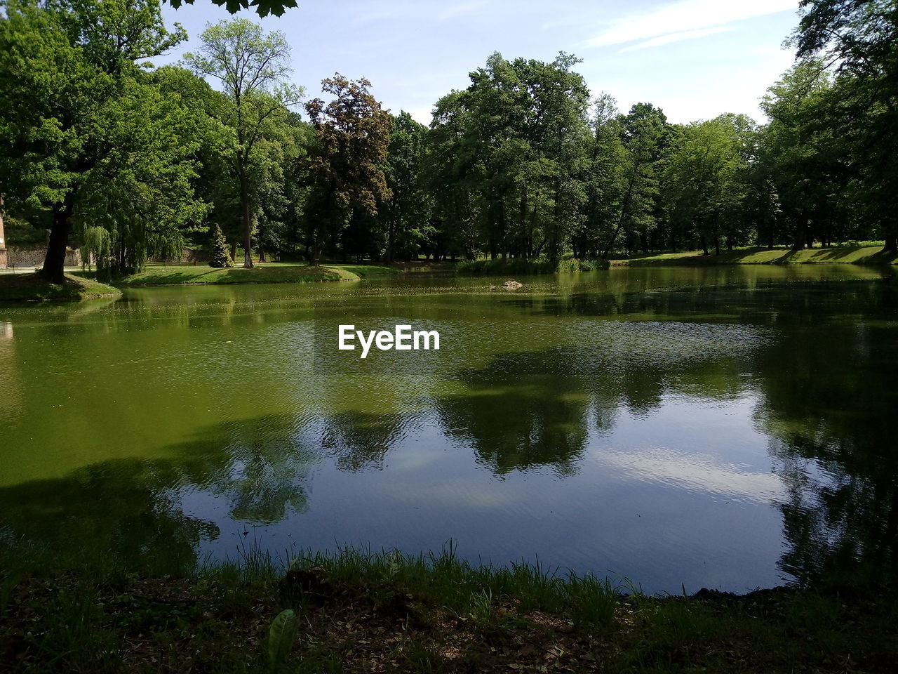 SCENIC VIEW OF LAKE AGAINST TREES