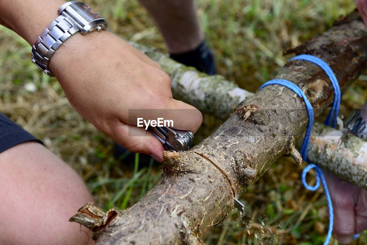 Cropped image of person cutting tree trunk in forest