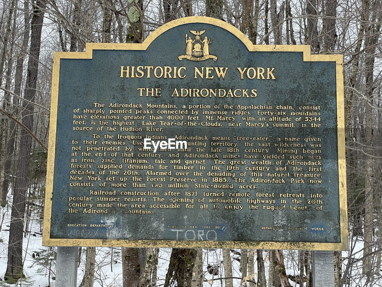 CLOSE-UP OF INFORMATION SIGN ON TREE AGAINST SKY