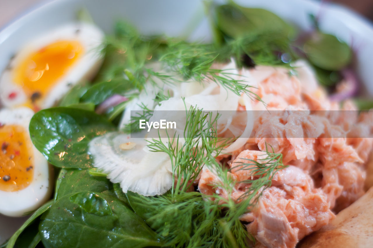 Close-up of food served in plate