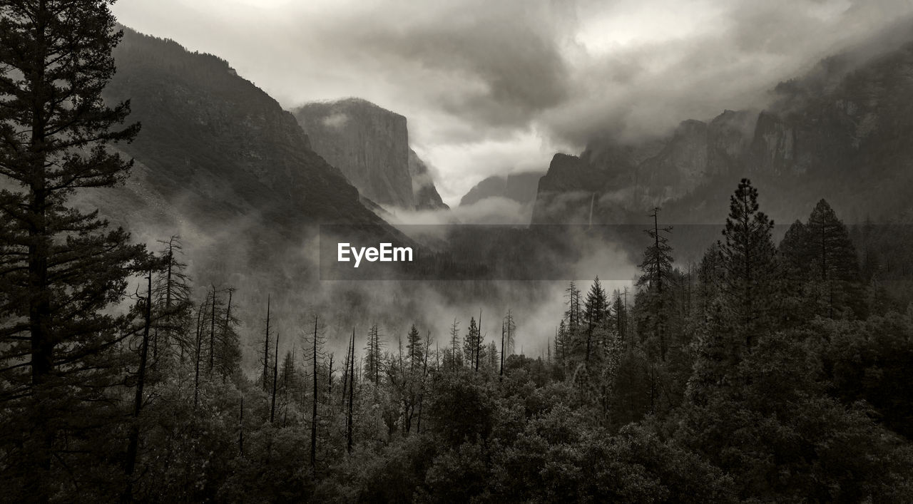 PANORAMIC SHOT OF TREES AND MOUNTAIN RANGE AGAINST SKY