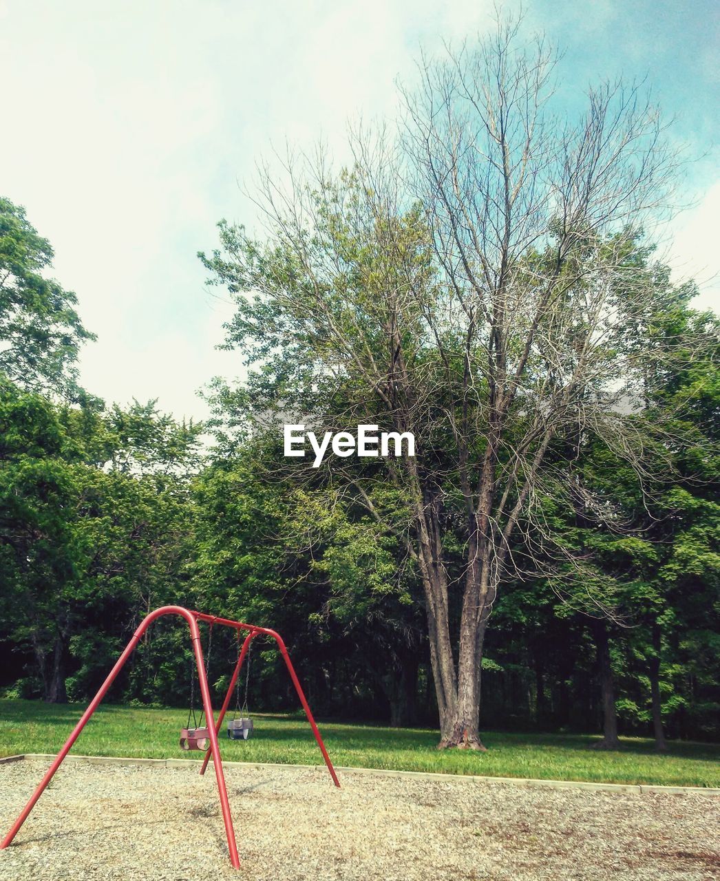 PLAYGROUND AGAINST TREES IN PARK