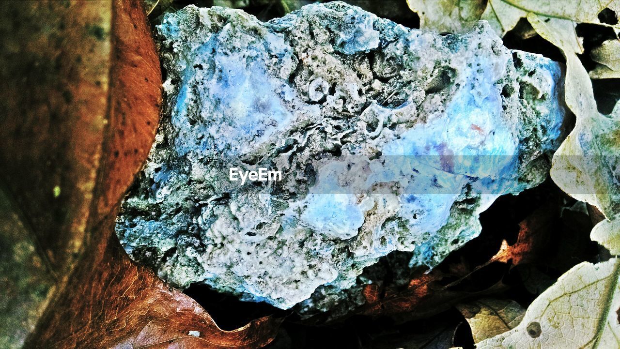 Close-up of textured rock