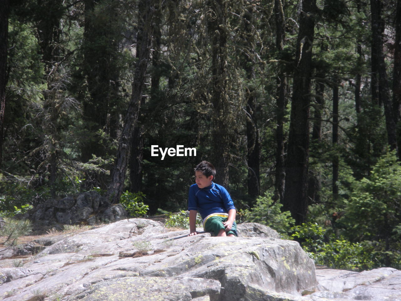 Boy looking away while sitting on rock in forest
