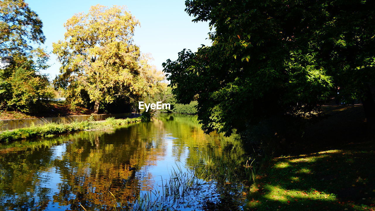 Scenic view of lake by trees against sky