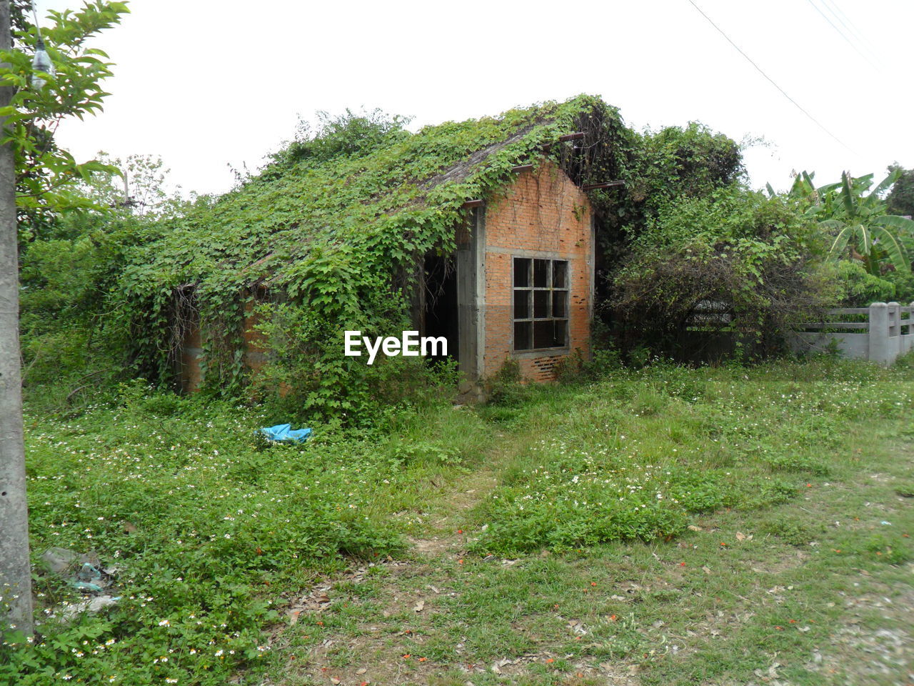 ABANDONED HOUSE WITH TREES IN BACKGROUND