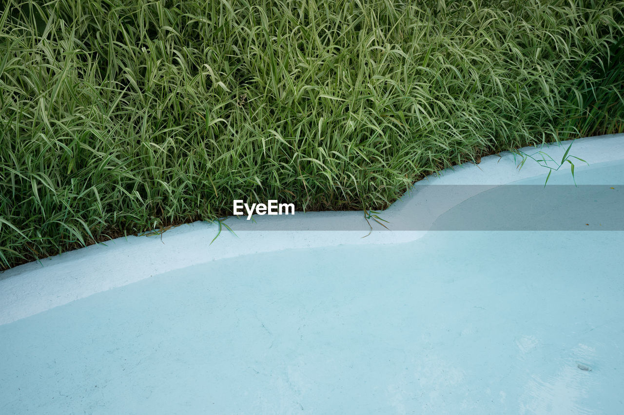 High angle view of artificial pond on grassy field