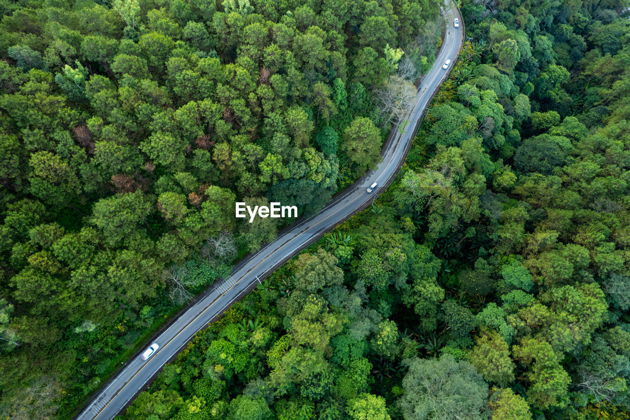 high angle view of road
