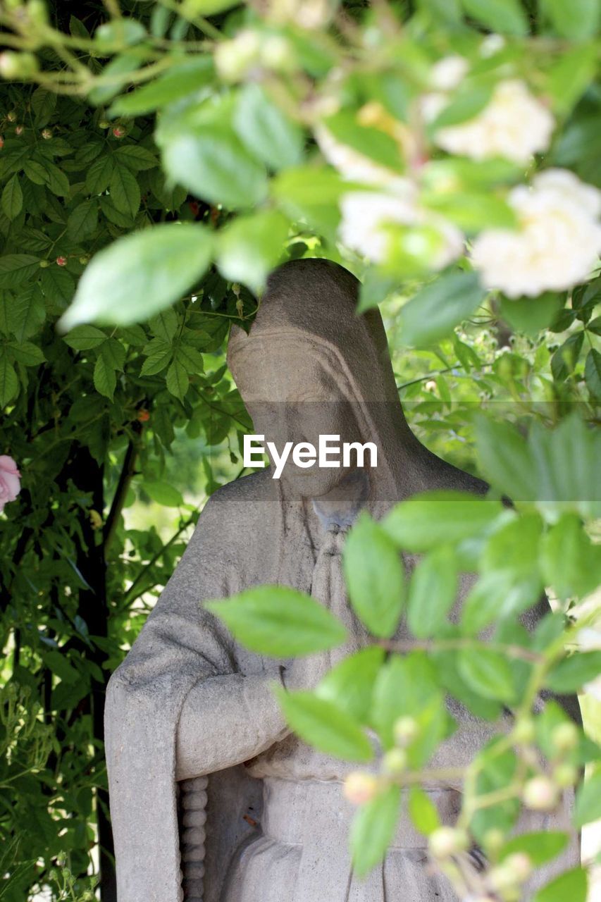 Maria magdalena statue amidst plants