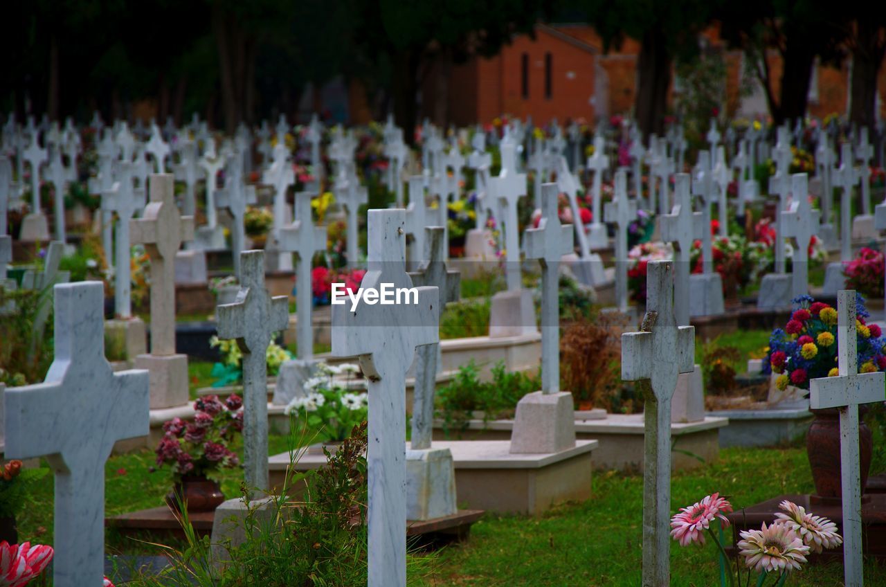 View of cemetery