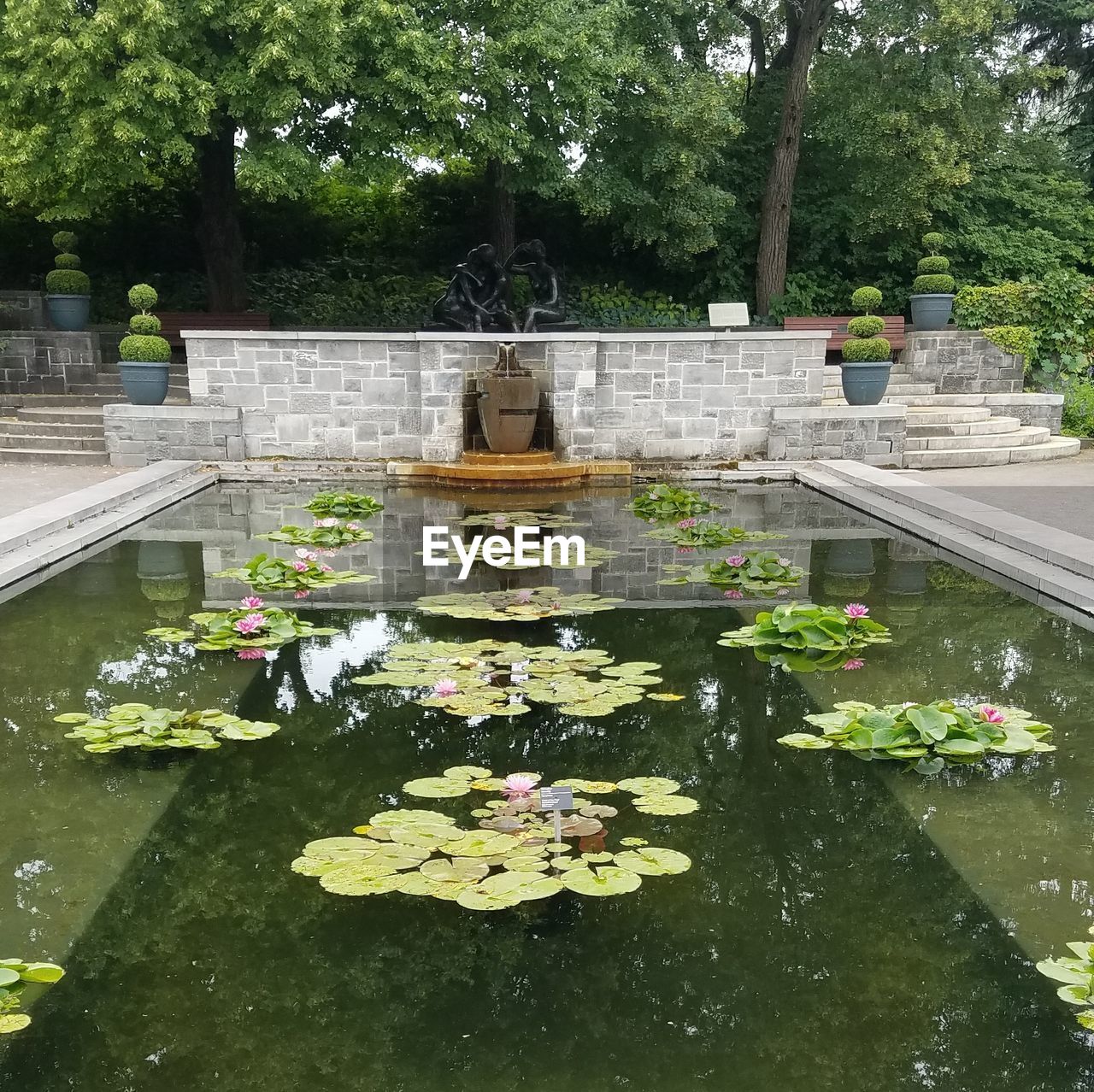 VIEW OF FOUNTAIN IN POND